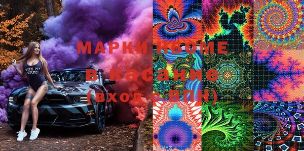 сатива Надым